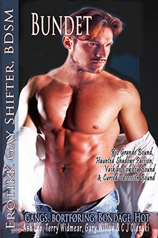 Read Bundet: Rio Grande Bound / Haunted Shadows Passion / Vask av Cowboy Bound / Cursed Obsession Bound - Ash Lee | PDF