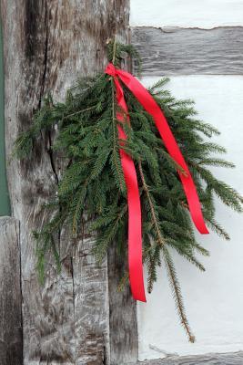 Read online Holiday Greenery with a Red Ribbon Journal: 150 Page Lined Notebook/Diar - NOT A BOOK | ePub