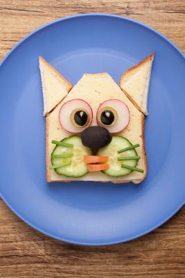 Read online Cat Made of Food Journal: 150 Page Lined Notebook/Diary - NOT A BOOK | PDF