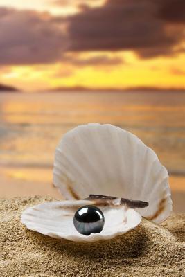 Read online Black Pearl Journal: 150 Page Lined Notebook/Diary - NOT A BOOK | PDF