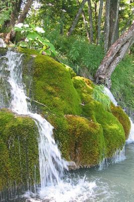 Read A Moss Covered Waterfall in Washington State: Blank 150 Page Lined Journal for Your Thoughts, Ideas, and Inspiration - NOT A BOOK | ePub