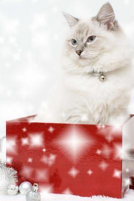 Download A Cute Cat Sitting in a Christmas Gift Box: Blank 150 Page Lined Journal for Your Thoughts, Ideas, and Inspiration - NOT A BOOK | PDF