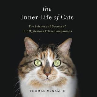 Download The Inner Life of Cats: The Science and Secrets of Our Mysterious Feline Companions - Thomas McNamee file in ePub